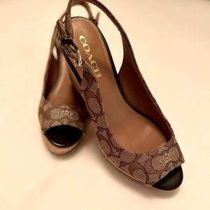 Coach Ferry Platform Wedge Sandal 8.5